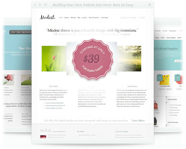 Wordpress-themes