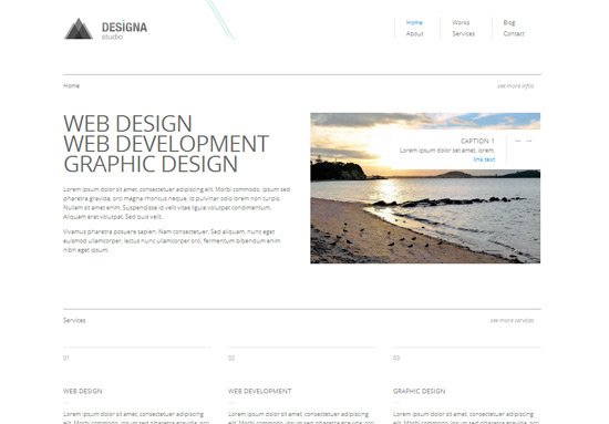 Designa Free Website Template