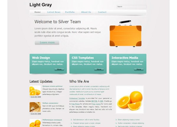 Light Gray Free Website Template