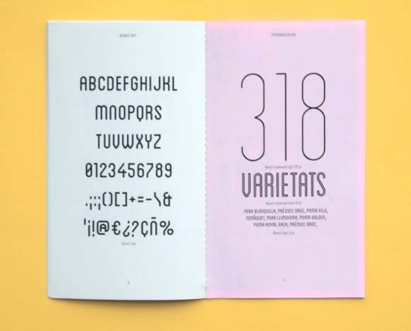 blanch-modern-free-fonts