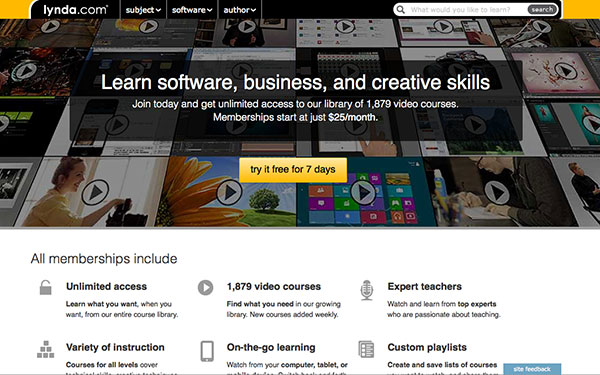 lynda: develop more skills