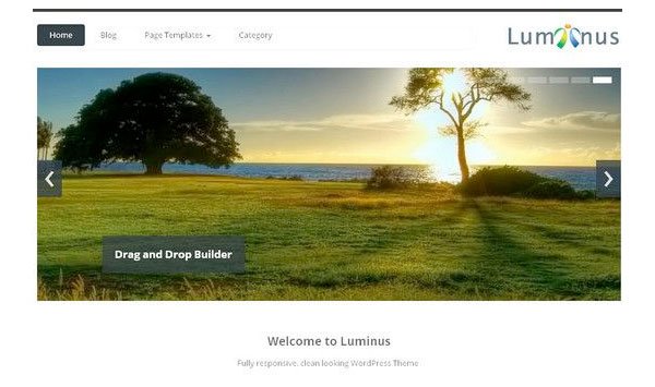 Luminus new free WordPress Themes 2014