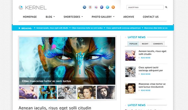 Popular WordPress Blog Themes: Kernel