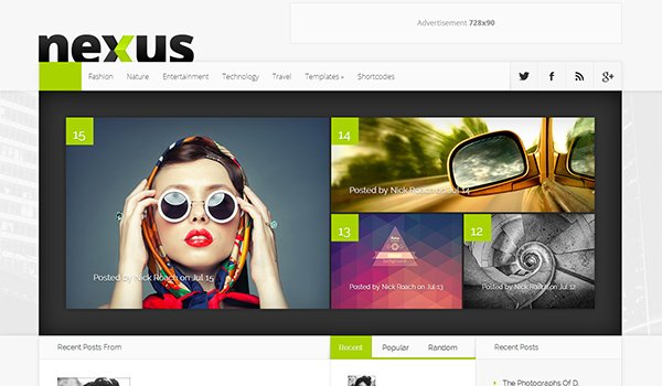 Popular WordPress Blog Themes: Nexus