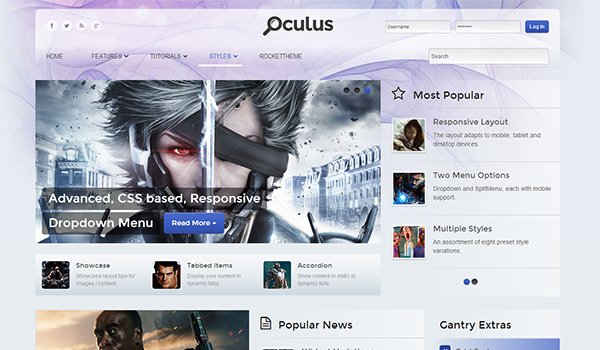 Popular WordPress Blog Themes: Oculus