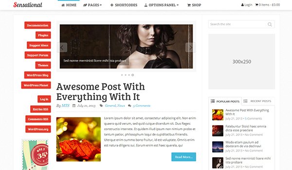 Popular WordPress Blog Themes: Sensational