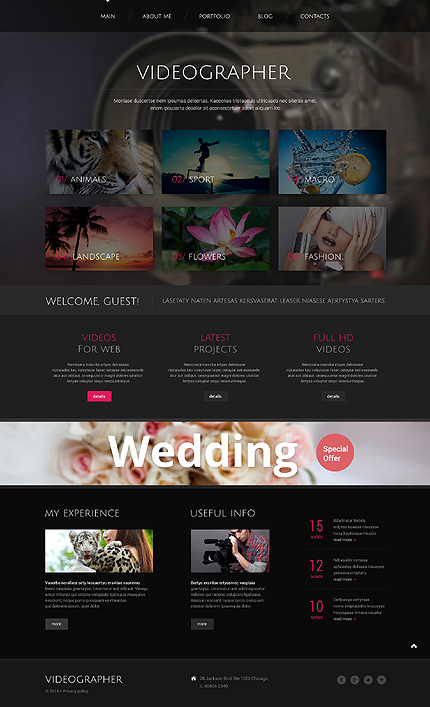 Videographer: bootstrap wordpress themes