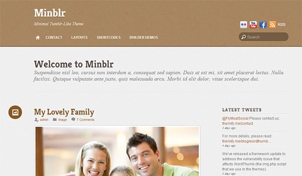 Minblr: Adsense Ready WordPress Themes