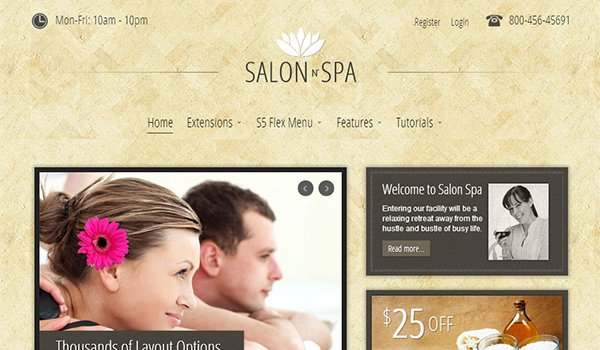 Wordpress Ecommerce Themes: Salon n Spa