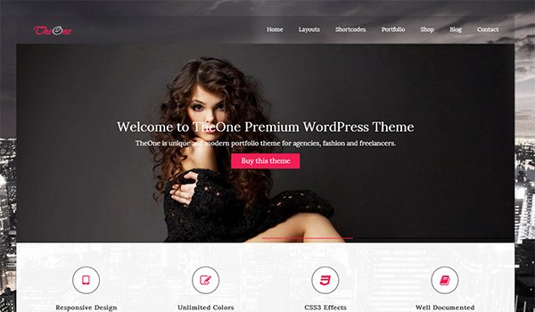 Wordpress Ecommerce Themes: TheOne