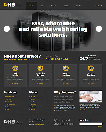 Hosting WordPress Theme