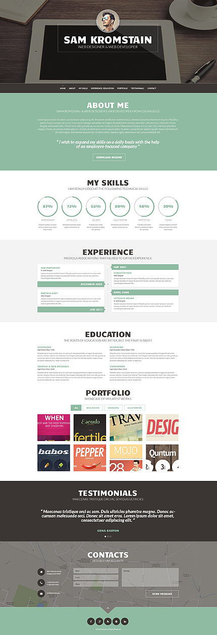 Web Developer CV WordPress Theme