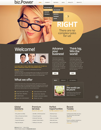 Free and Premium WordPress Themes - Business