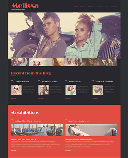 Free and Premium WordPress Themes - Photography