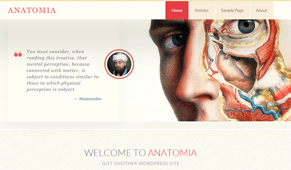 Anatomia