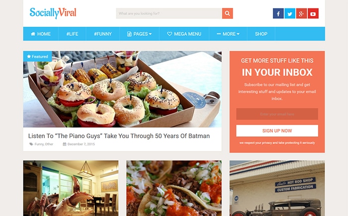 SociallyViral - SEO Optimized WordPress Themes