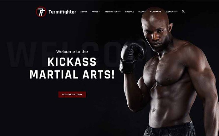 Mma WP Theme 