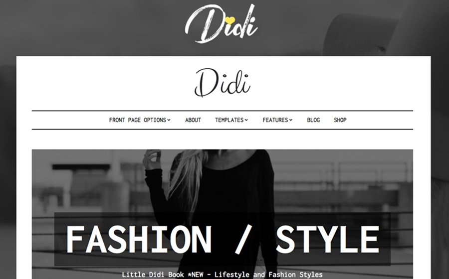 Didi - Fashion WordPress Theme