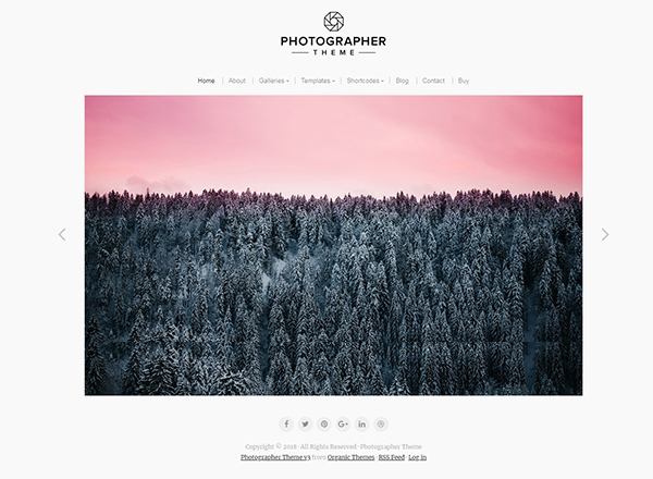 Photographer Theme