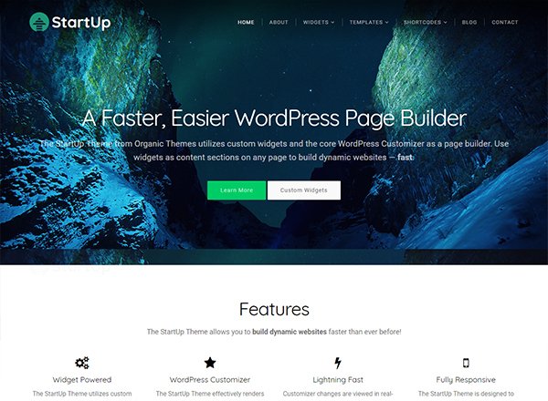 StartUp Theme