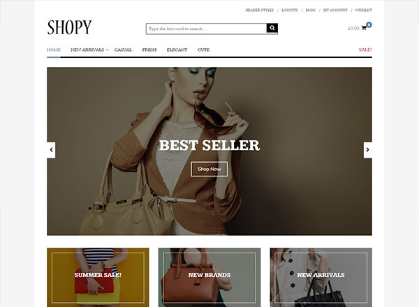 25 Top Ranked WordPress E-commerce Themes | Creative Beacon