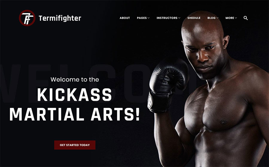 Mma WP Theme 