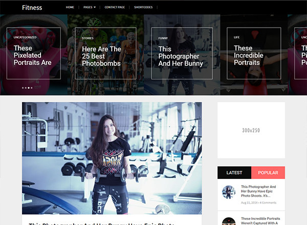 BloggingBox fashion WordPress theme