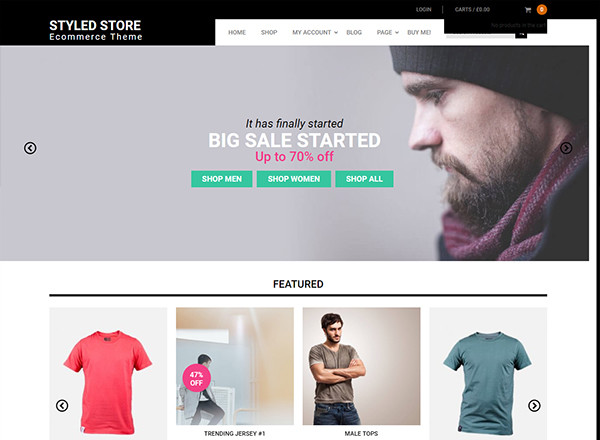 Styled Store Pro - fashion blog WordPress themes